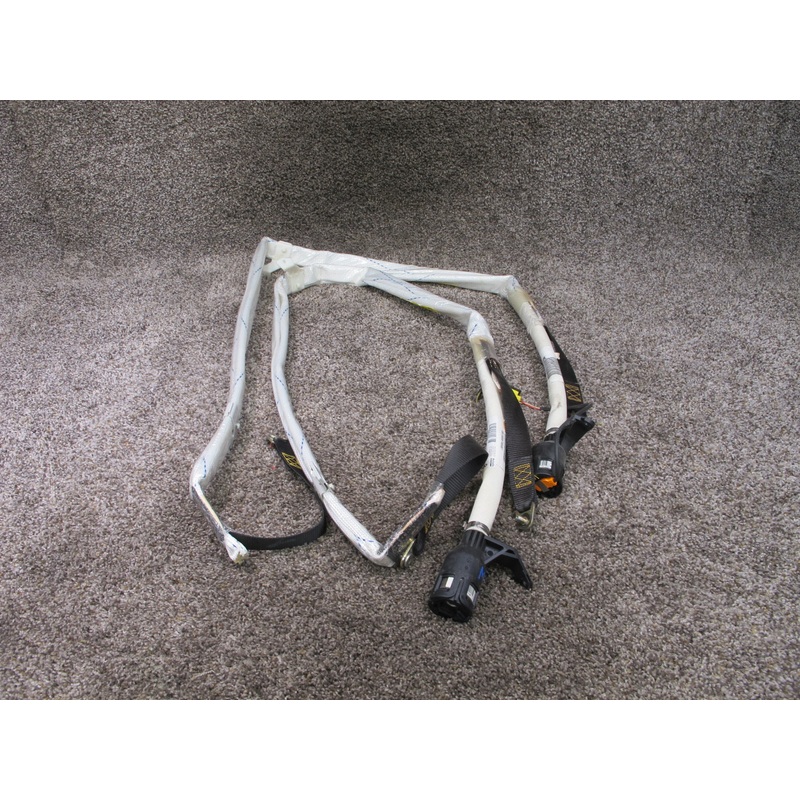 97-03 BMW E39 5-SERIES FRONT LEFT & RIGHT SIDE ROOF SRS AIRBAG OEM
