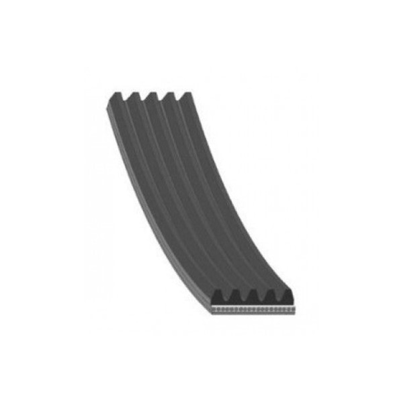 38920REJW01 38920-REJ-W01 FAN BELT 5PK1144  HONDA CITY SEL JAZZ