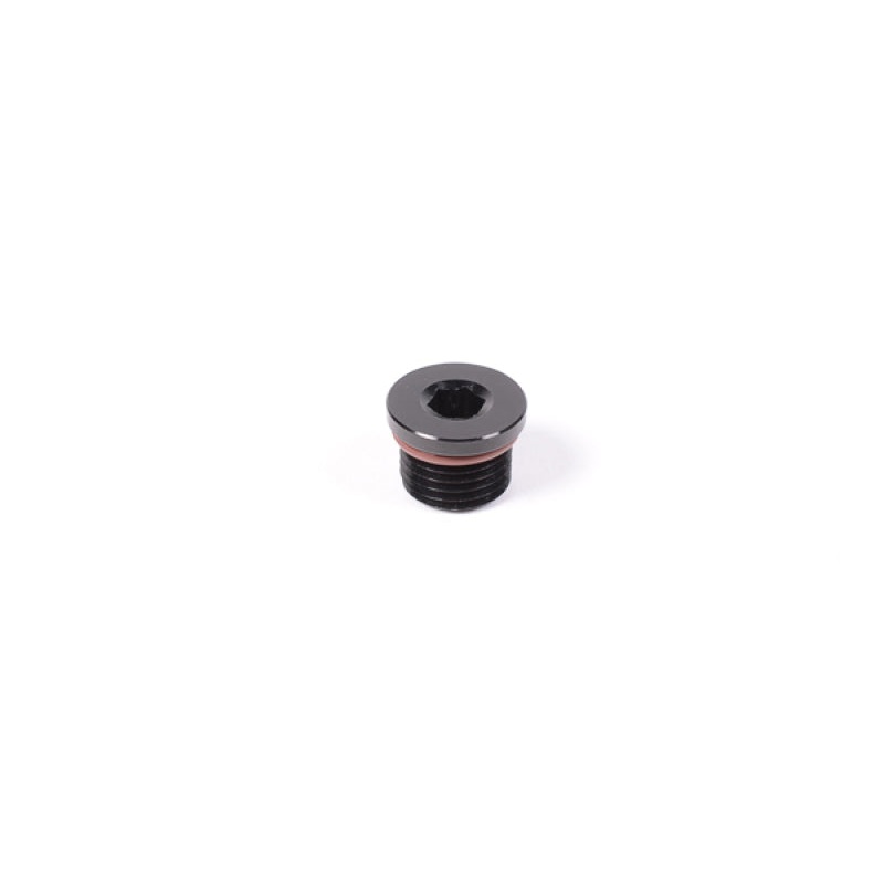 Radium Engineering 6AN ORB Plug